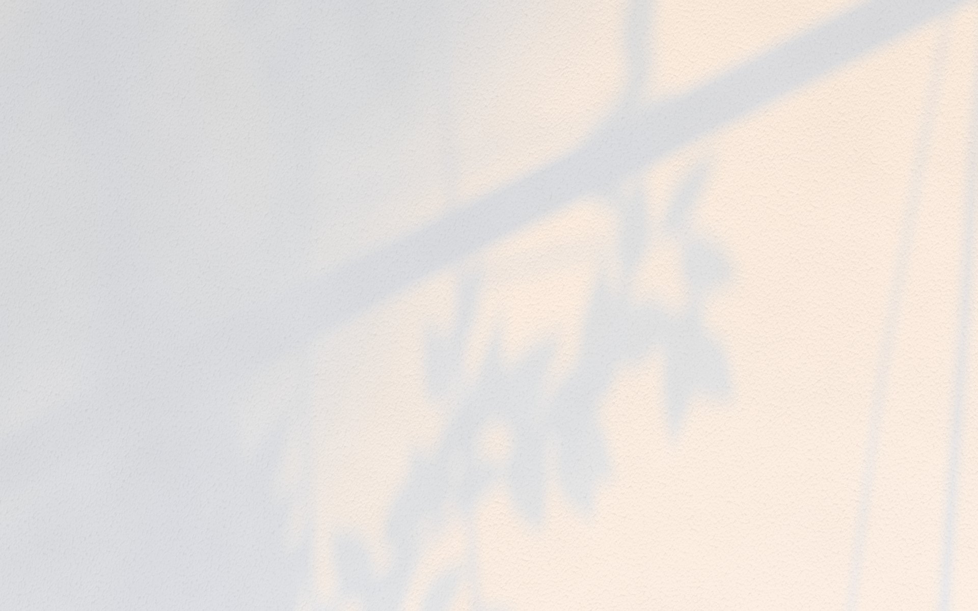 Morning sunlight through a window and leaves on textured paper